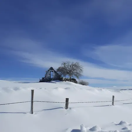 De Sibe Long - Sur L'aubrac Saint-Chély-dʼAubrac